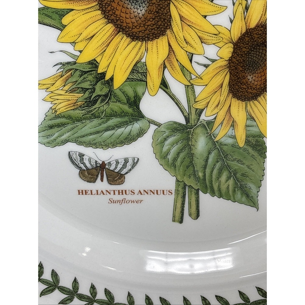 Portmeirion Botanic Garden Sunflower Motif Dinner Plate 10 inch Leaf Boarder - Picture 4 of 9